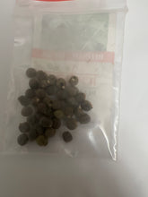Load image into Gallery viewer, IPS087- Okra Seven Lines -20 Plus Seeds