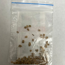 Load image into Gallery viewer, IPS093- Country Tomato -50 Plus Seeds