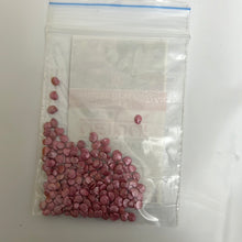 Load image into Gallery viewer, IPS062 - F1 Hybrid Purple Oval Brinjal - PRAGATI - 50 Seeds