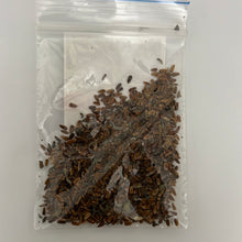 Load image into Gallery viewer, IPS110- BHRINGRAJ WHITE -‘false daisy’ in English