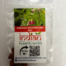 Load image into Gallery viewer, IPS100 - Agathi - SESBANIA GRANDIFLORA-RED- 25 Plus Seeds