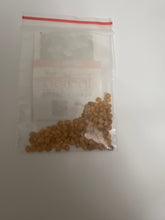 Load image into Gallery viewer, IPS074 - Brinjal Green Round white Stripes-Open Pollinated - 50 + seeds