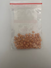 Load image into Gallery viewer, IPS059 -BAJJI MIRCHI LONG-F1 SUMO- 20+ seeds