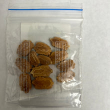 Load image into Gallery viewer, IPS086- Hybrid Bitter Gourd - NBGH-152 -ANANDA-10+Seeds