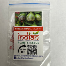 Load image into Gallery viewer, IPS097- HYBRID BRINJAL-MAHY-4- 20 Plus seeds
