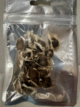 Load image into Gallery viewer, IPS035 - Moringa Seeds - Special ODC3 Variety - 20 pack