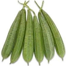 Load image into Gallery viewer, IPS043 - Hybrid Ridge Gourd -Hybrid NRGH-324 (DHRUV) - 10 Seeds