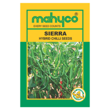 Load image into Gallery viewer, IPS014 - Chilli - Green - HYBRID CHILLI(SIERRA) -Guntur Sannam HOT Chilli Pepper Variety -  20+ Seeds