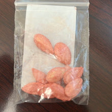 Load image into Gallery viewer, IPS030 - Indian Pumpkin-Hybrid-MPH 1 - 10 seeds