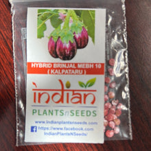 Load image into Gallery viewer, IPS039 - BRINJAL HYBRID  MAHY KALPATARU (MEBH 10)-Purple Small round Brinjal / Vankay Seeds - 30+ seeds
