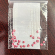 Load image into Gallery viewer, IPS083 - BRINJAL HYBRID MAHY RUBY- 20+ seeds