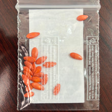 Load image into Gallery viewer, IPS084- F1 Hybrid Cucumber Sambhar Seeds-10+ Seeds