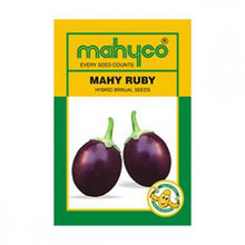 Load image into Gallery viewer, IPS083 - BRINJAL HYBRID MAHY RUBY- 20+ seeds