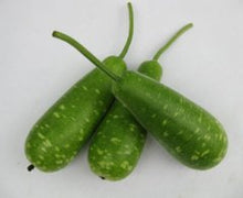 Load image into Gallery viewer, IPS007 - Bottle Gourd - Short and Spotted Open pollinated - 12 Seeds