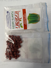 Load image into Gallery viewer, IPS067 - Okra NOH - 537 (SIYA) (Hybrid)