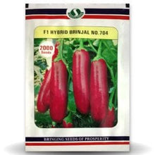Load image into Gallery viewer, IPS038 - Purple Long Brinjal / F1 704 Vankay Seeds - 50+ seeds