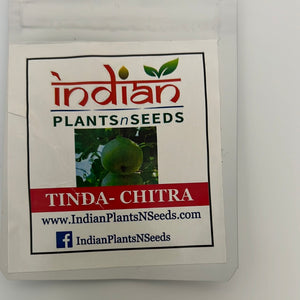 IPS049 - Tinda Gourd Seeds