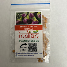 Load image into Gallery viewer, IPS094- PURPLE THORN BRINJAL- 20 Plus Seeds
