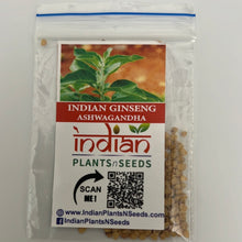 Load image into Gallery viewer, IPS104 - INDIAN GINSENG -ASHWAGANDHA- 50+ seeds
