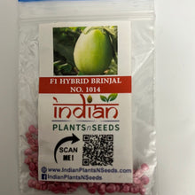 Load image into Gallery viewer, IPS103 - F1 Hybrid Green Oval Brinjal / Vankaya Seeds -No-1014- 50+ seeds
