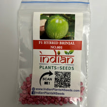 Load image into Gallery viewer, IPS026 - F1 Hybrid Green Round Brinjal / Vankay Seeds -No-801- 50+ seeds
