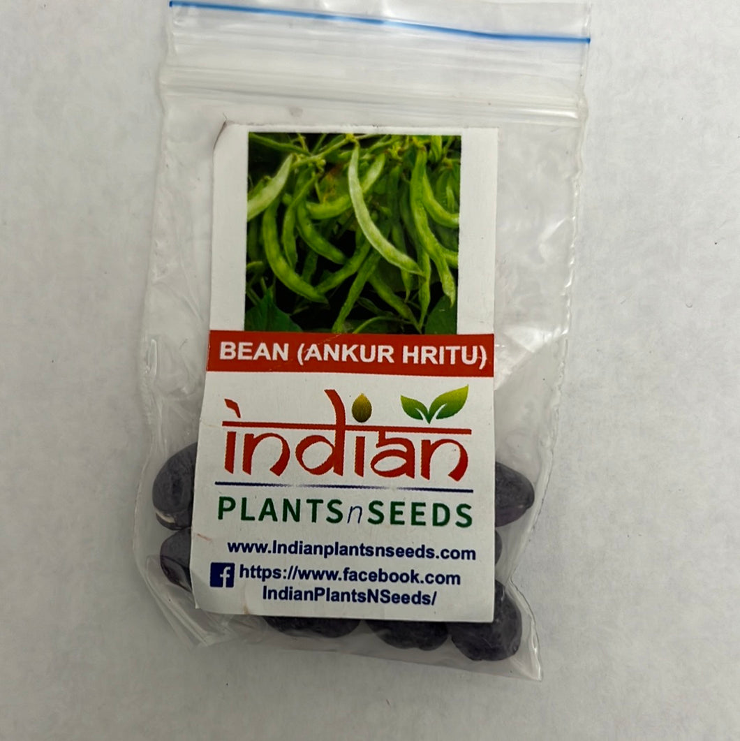 IPS090- Bean -Ankur HRITU -10 Plus Seeds