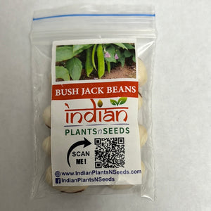 IPS096- Bush Jack Beans-10 Plus Seeds