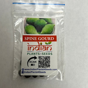 IPS098- SPINE GOURD- 10 Plus Seeds