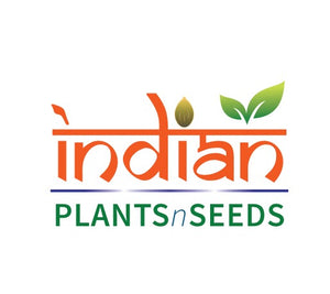 Indian PlantsNSeeds