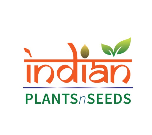 chukkakura seeds planting IPS055 - ChukkaKura
