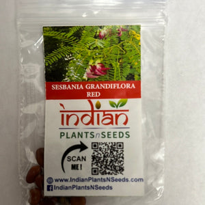 IPS100 - Agathi - SESBANIA GRANDIFLORA-RED- 25 Plus Seeds
