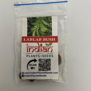 IPS108 - LABLAB BUSH- 10+ seeds