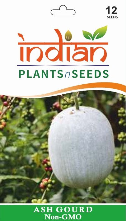 indian vegetable seeds and plants IPS001 - Ash Gourd