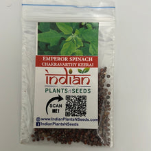 Load image into Gallery viewer, IPS107 - EMPEROR SPINACH-CHAKRAVARTHY KEERAI- 50+ seeds
