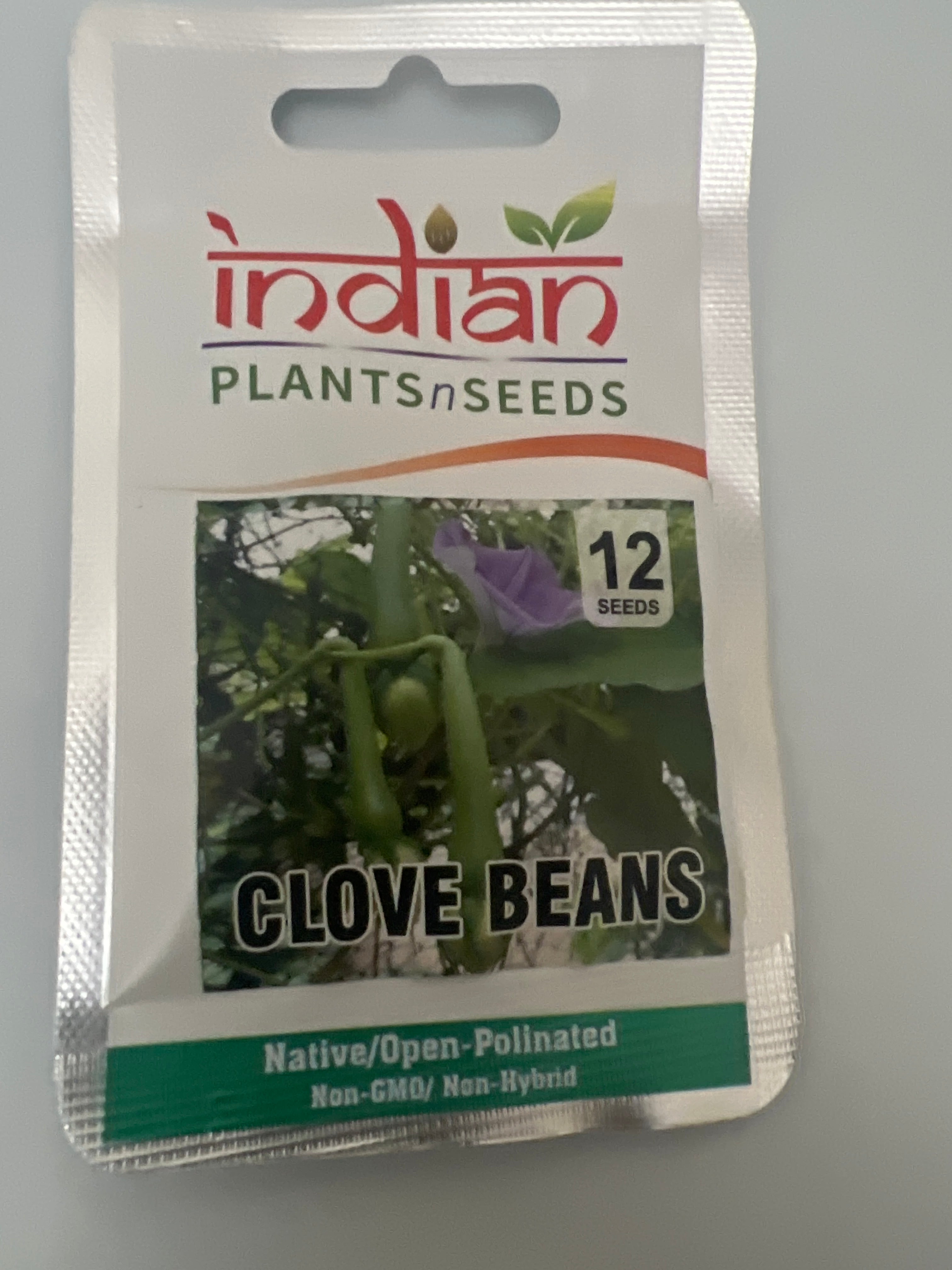 clove plant seeds IPS095- Green Clove Beans- 10 Plus Seeds