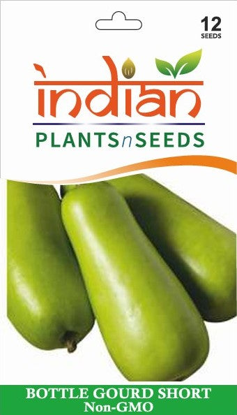 bottle gourd plant seeds IPS045 - Short Bottle Gourd