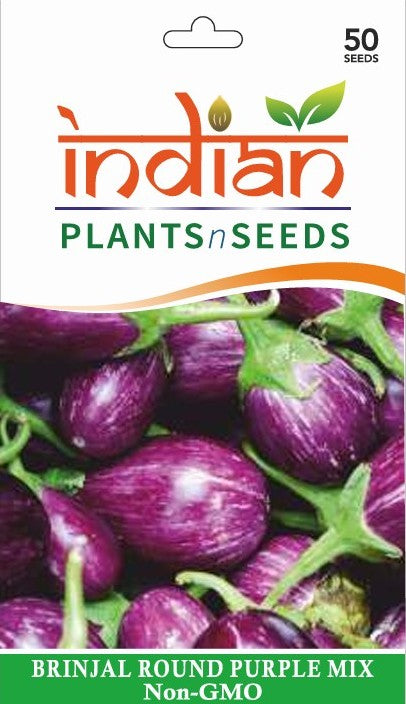 indoor plants seeds online india IPS039 - BRINJAL Purple Small Round/ Vankaya Seeds