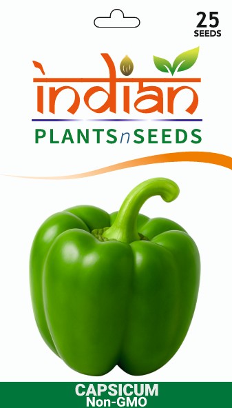 planting fresh bell pepper seeds IPS069- Green Bell peppers / Capsicum