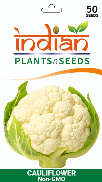 plant cauliflower seeds IPS098- CAULIFLOWER- INDIAN Variety – Indian PlantsNSeeds
