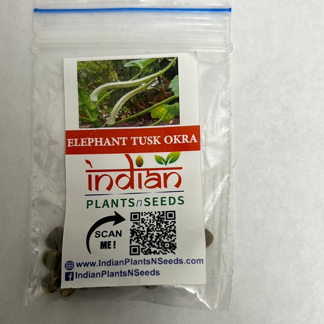 plant okra seed IPS099- Elephant Tusk Okra- 20 Plus seeds – Indian PlantsNSeeds