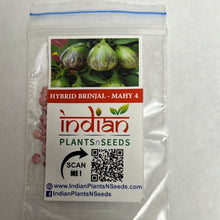 Load image into Gallery viewer, IPS097- HYBRID BRINJAL-MAHY-4- 20 Plus seeds
