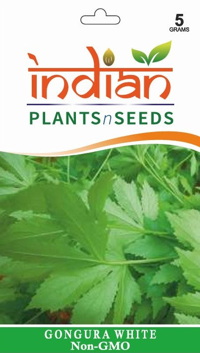 gongura plant seeds IPS023