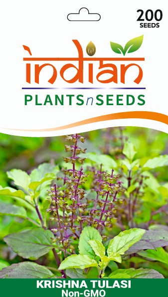 tulasi plant seeds IPS060