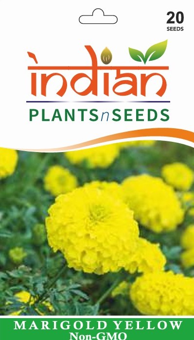 giant marigold seed IPS022