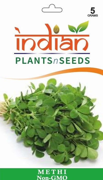 methi seed plant IPS061 - Methi seeds