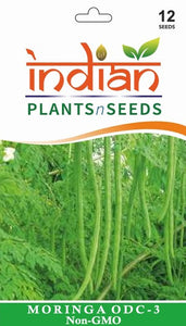 moringa plant seeds IPS035 - Moringa ODC - 3 - Seeds