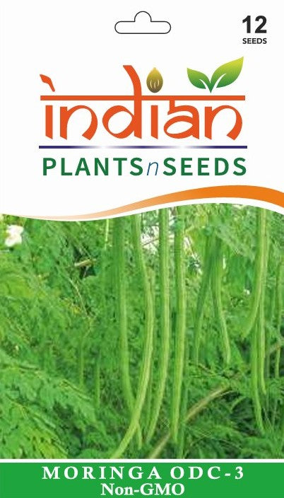 moringa seeds for planting near me IPS035 - Moringa ODC - 3 - Seeds