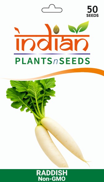 IPS040 - Radish - Japanese White - Seeds – Indian PlantsNSeeds