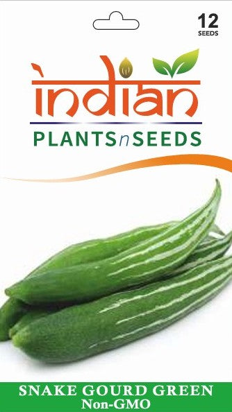 snake plants seeds IPS033 - SNAKE GOURD MEDIUM GREEN