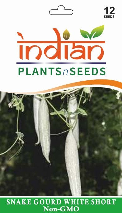 IPS046 - Snake Gourd White Short